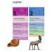 Manual biblic