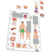 Puzzle - Corpul nostru