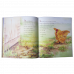 Înfoiatul - cocoşul auriu